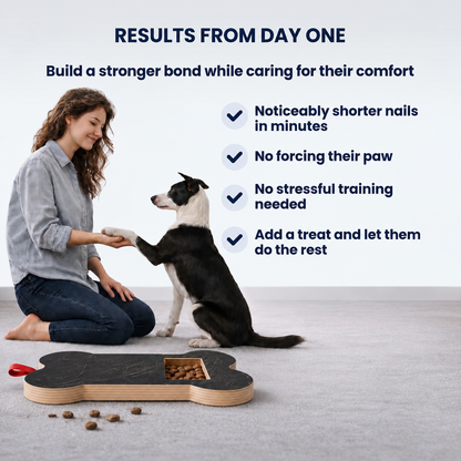 TheCalmPaw | Stress-Free Nail Care