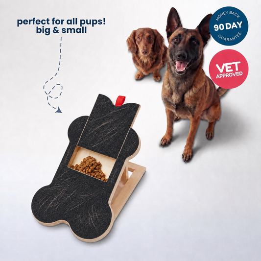 TheCalmPaw | Stress-Free Nail Care