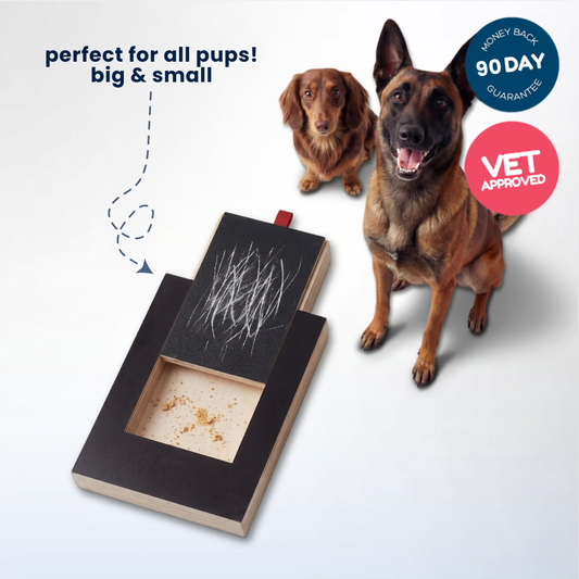 TheCalmPaw™ | Stress-Free Nail Care Board