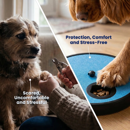 TheCalmPaw™ | Treat & File Nail Board
