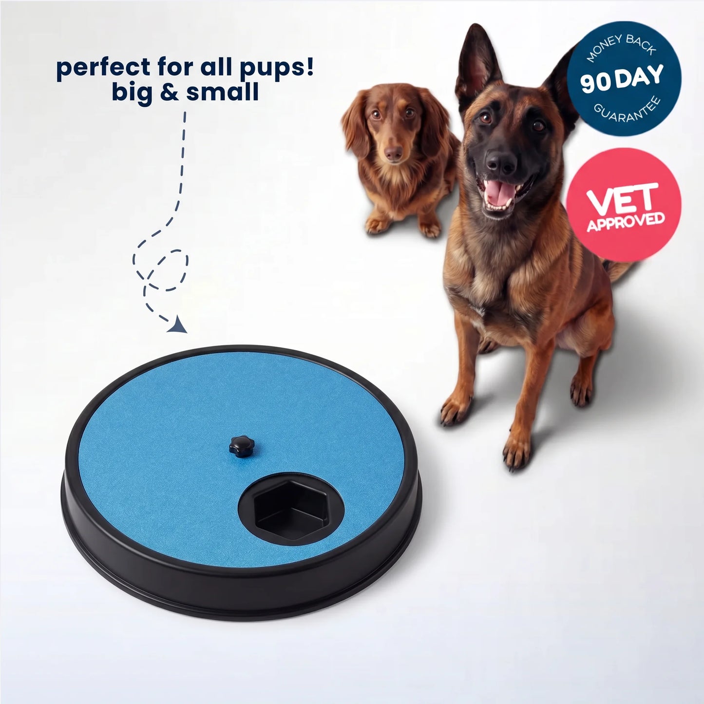 TheCalmPaw™ | Treat & File Nail Board
