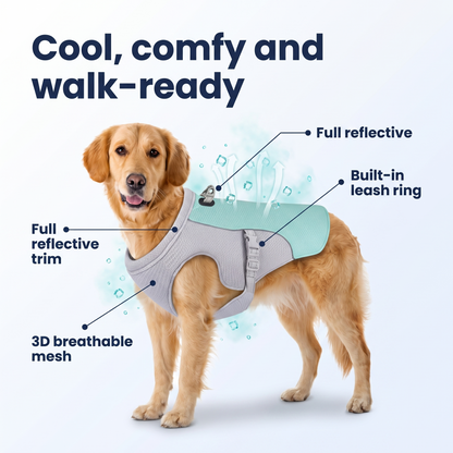 TheCalmPaw™ | Cooling Comfort Dog Vest