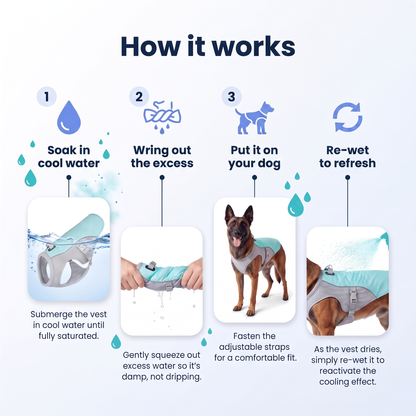 TheCalmPaw™ | Cooling Comfort Dog Vest